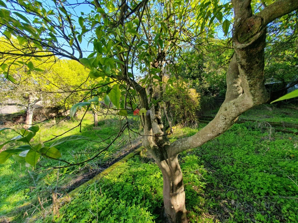 Terreno para Venda em Nossa Senhora da Vila, Nossa Senhora do Bispo e Silveiras Foto 43