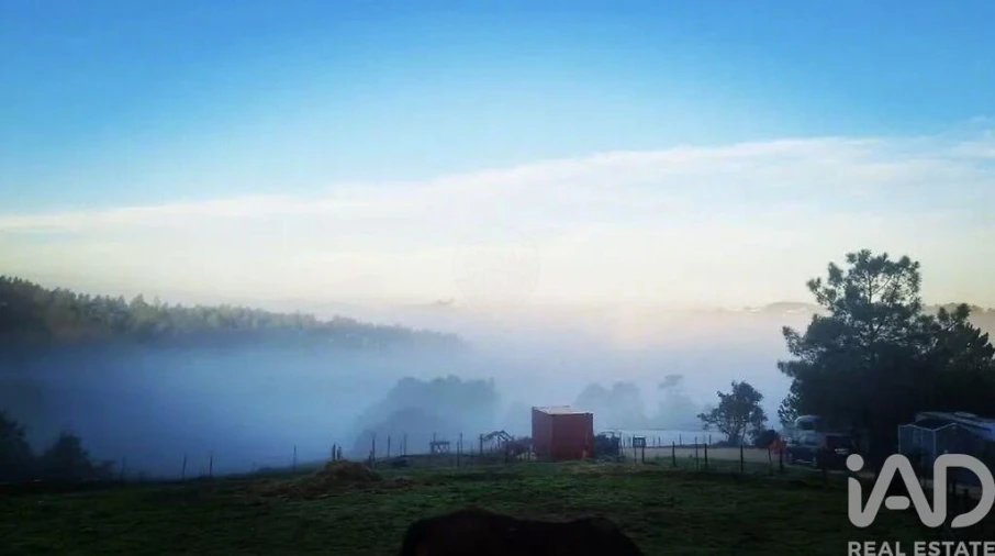 Quinta para Venda em Alvorninha Foto 11