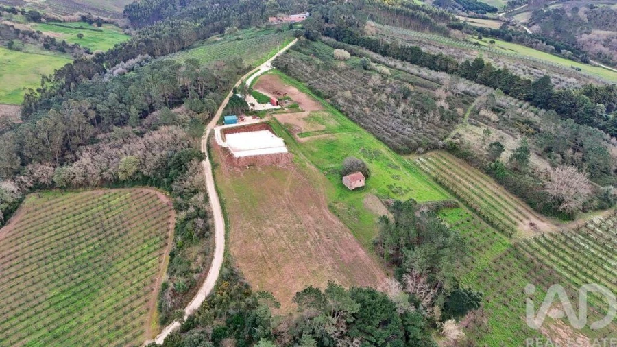 Quinta para Venda em Alvorninha Foto 1