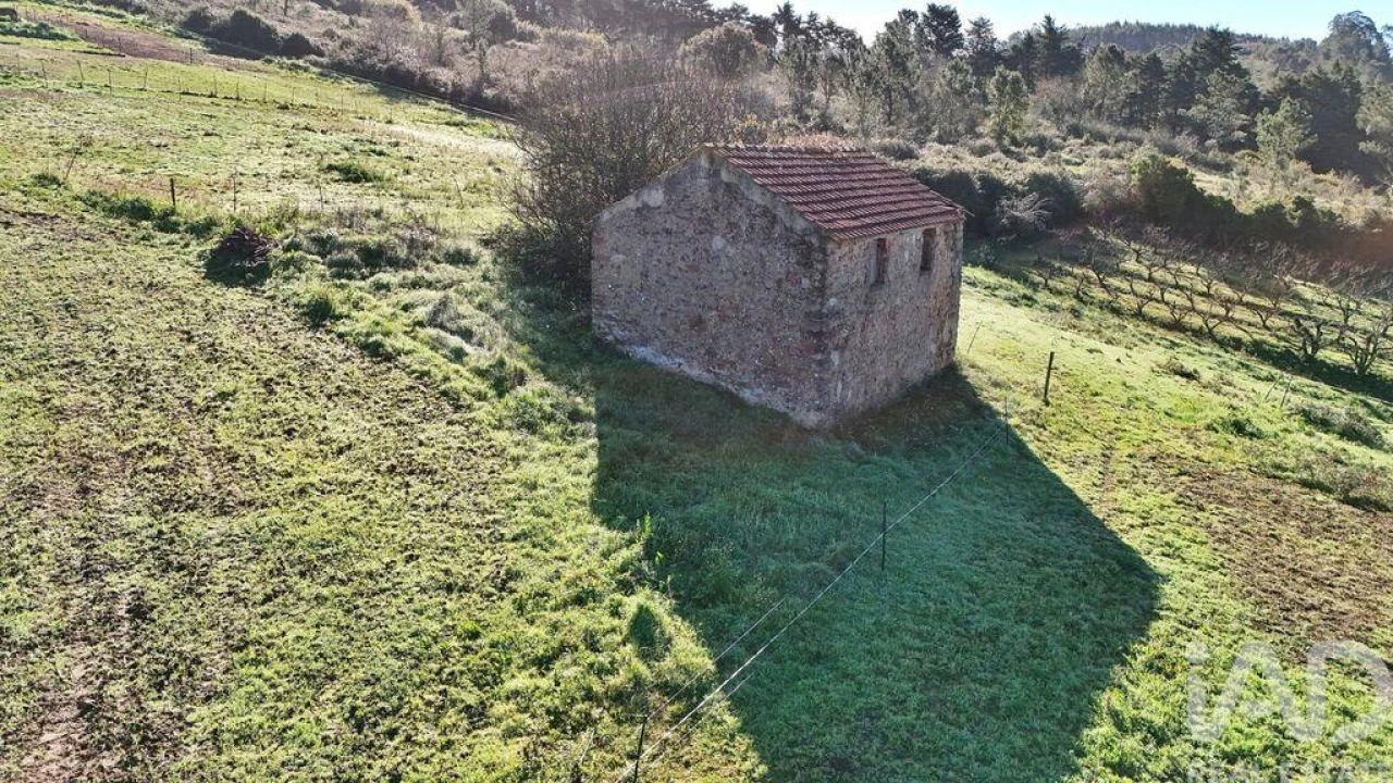 Quinta para Venda em Alvorninha Foto 8