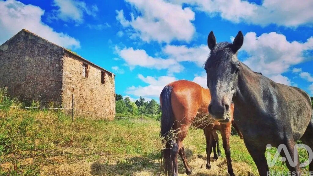 Quinta para Venda em Alvorninha Foto 9