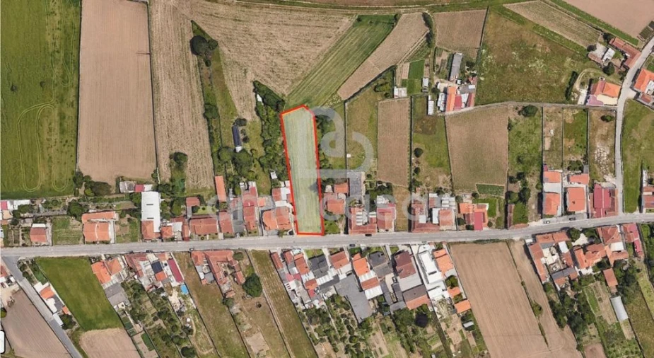 Terreno para Venda em Ílhavo (São Salvador) Foto 3