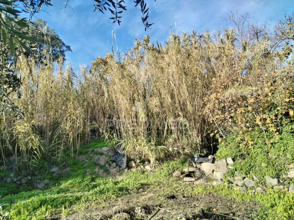 Terreno para Venda em Reguengo e São Julião Foto 6