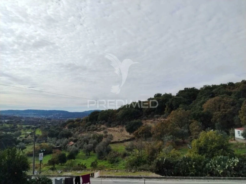 Terreno para Venda em Reguengo e São Julião Foto 3