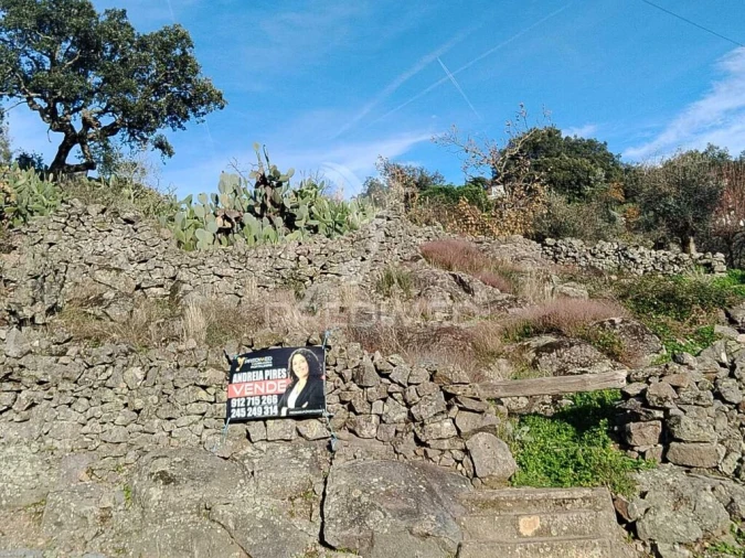 Terreno para Venda em Reguengo e São Julião Foto 10