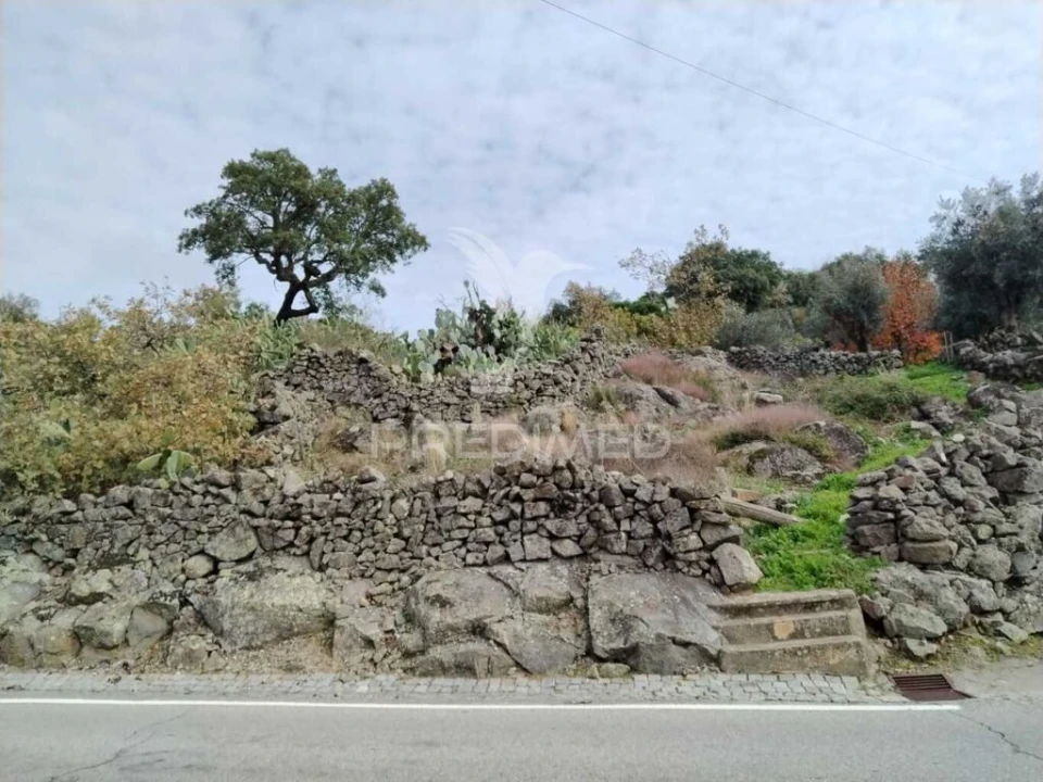 Terreno para Venda em Reguengo e São Julião Foto 2