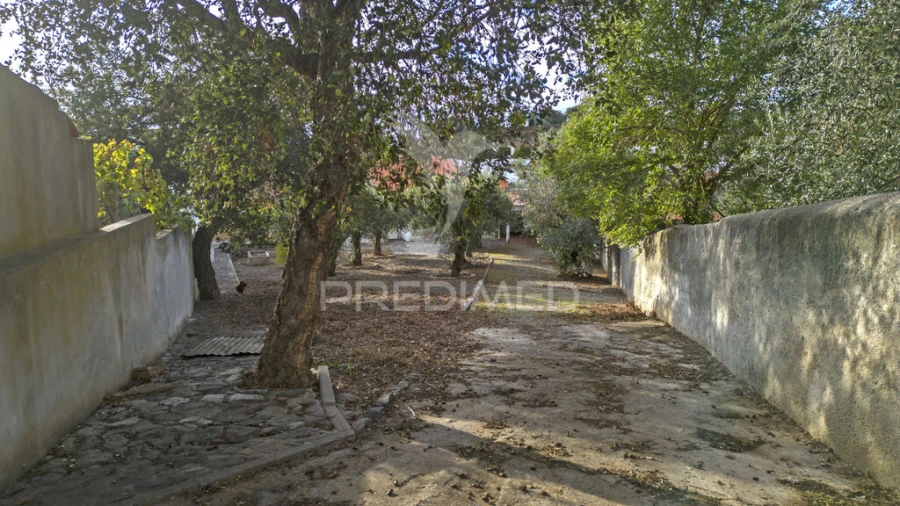 Moradia T3 para Venda em Garvão e Santa Luzia Foto 4