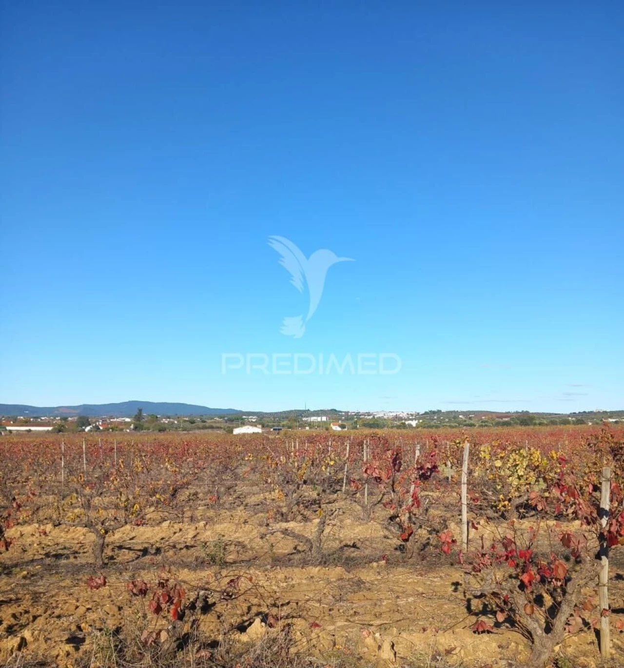 Quinta T2 para Venda em Redondo Foto 9