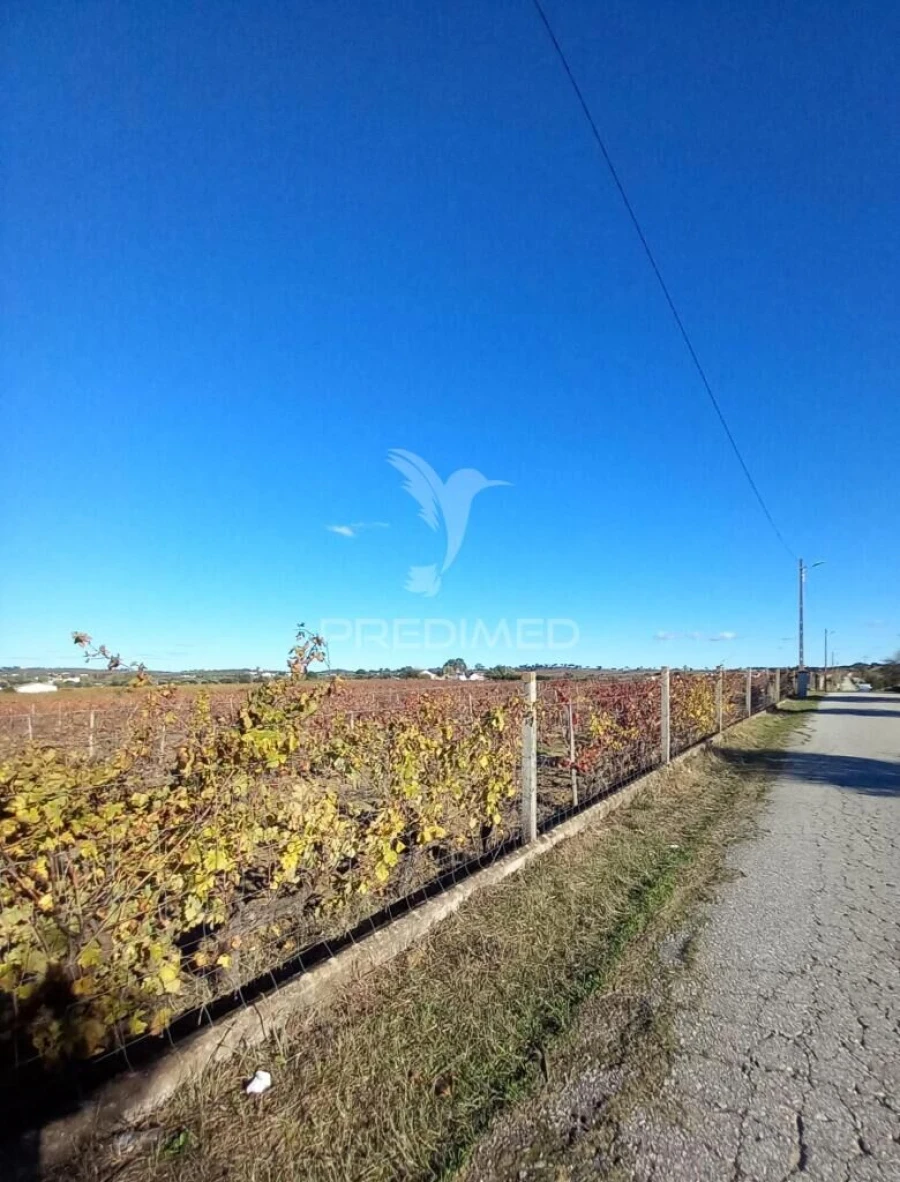 Quinta T2 para Venda em Redondo Foto 4