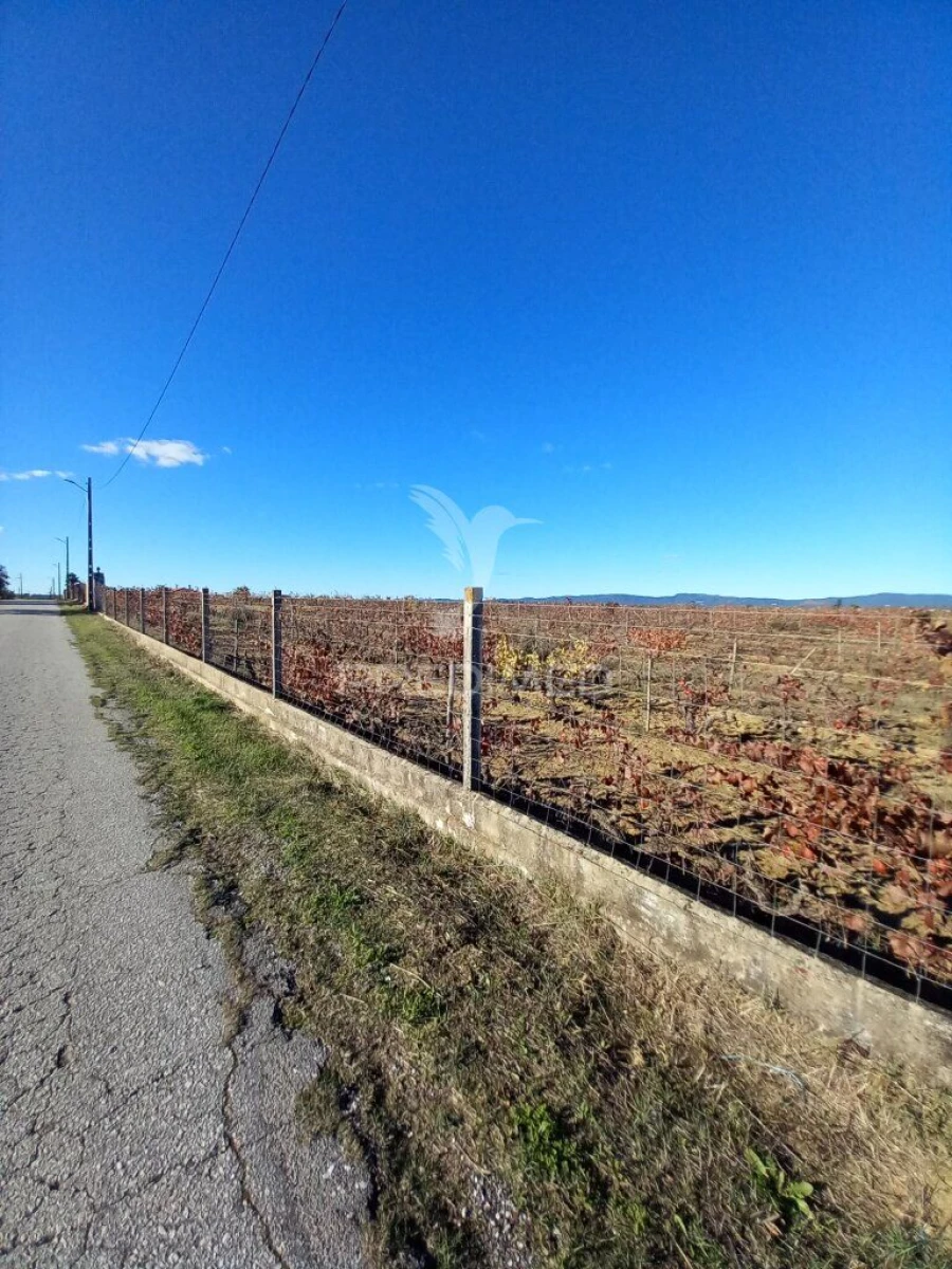 Quinta T2 para Venda em Redondo Foto 6