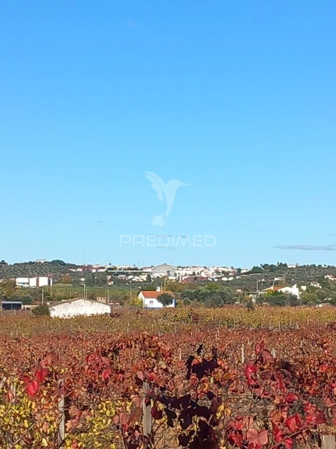 Quinta T2 para Venda em Redondo Foto 11