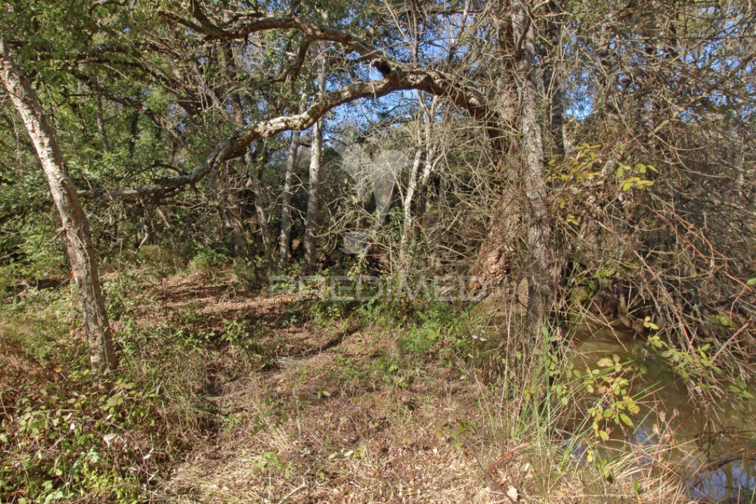 Quinta T3 para Venda em Longueira/Almograve Foto 15