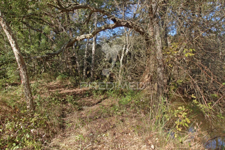 Quinta T3 para Venda em Longueira/Almograve Foto 13