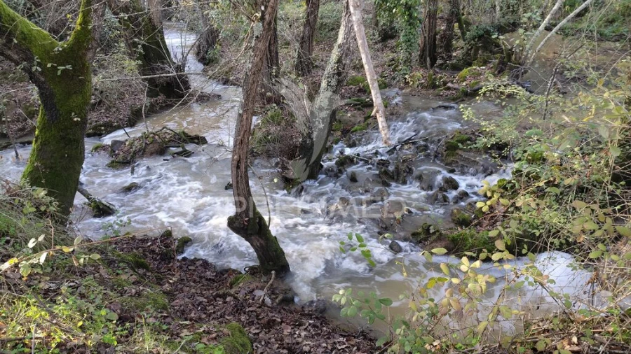Quinta T3 para Venda em Longueira/Almograve Foto 2