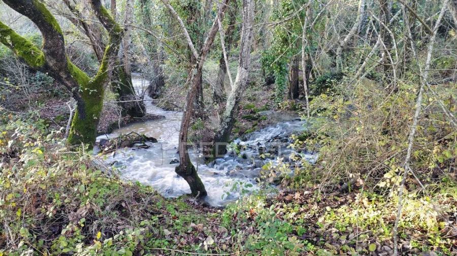 Quinta T3 para Venda em Longueira/Almograve Foto 3