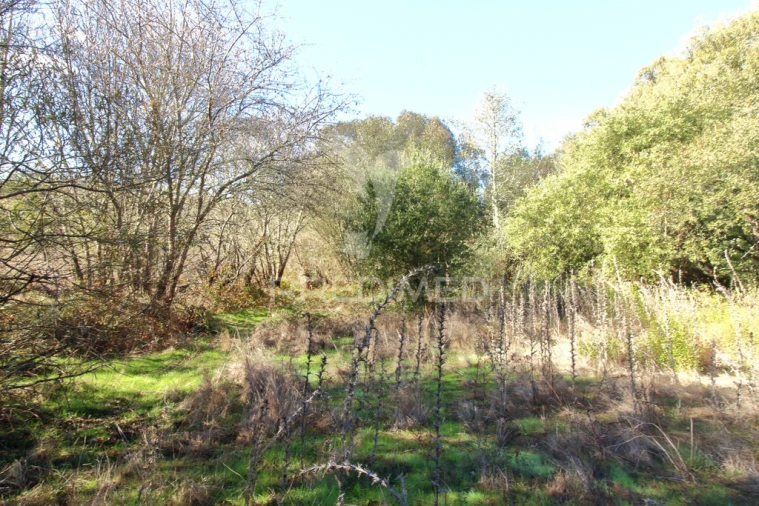 Quinta T3 para Venda em Longueira/Almograve Foto 16