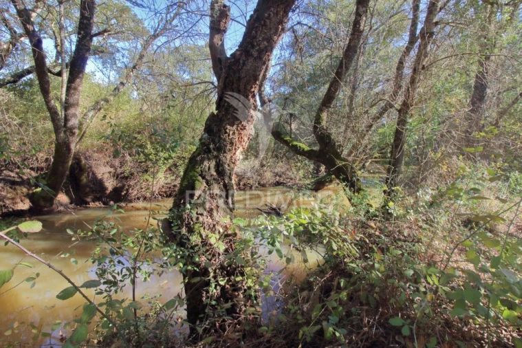 Quinta T3 para Venda em Longueira/Almograve Foto 14