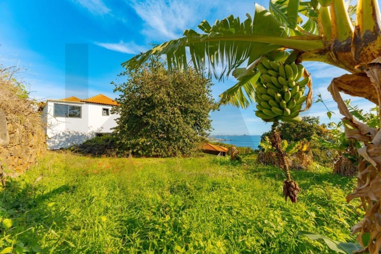 Moradia T3 para Venda em Gaula Foto 47