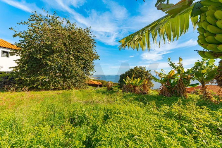 Moradia T3 para Venda em Gaula Foto 41