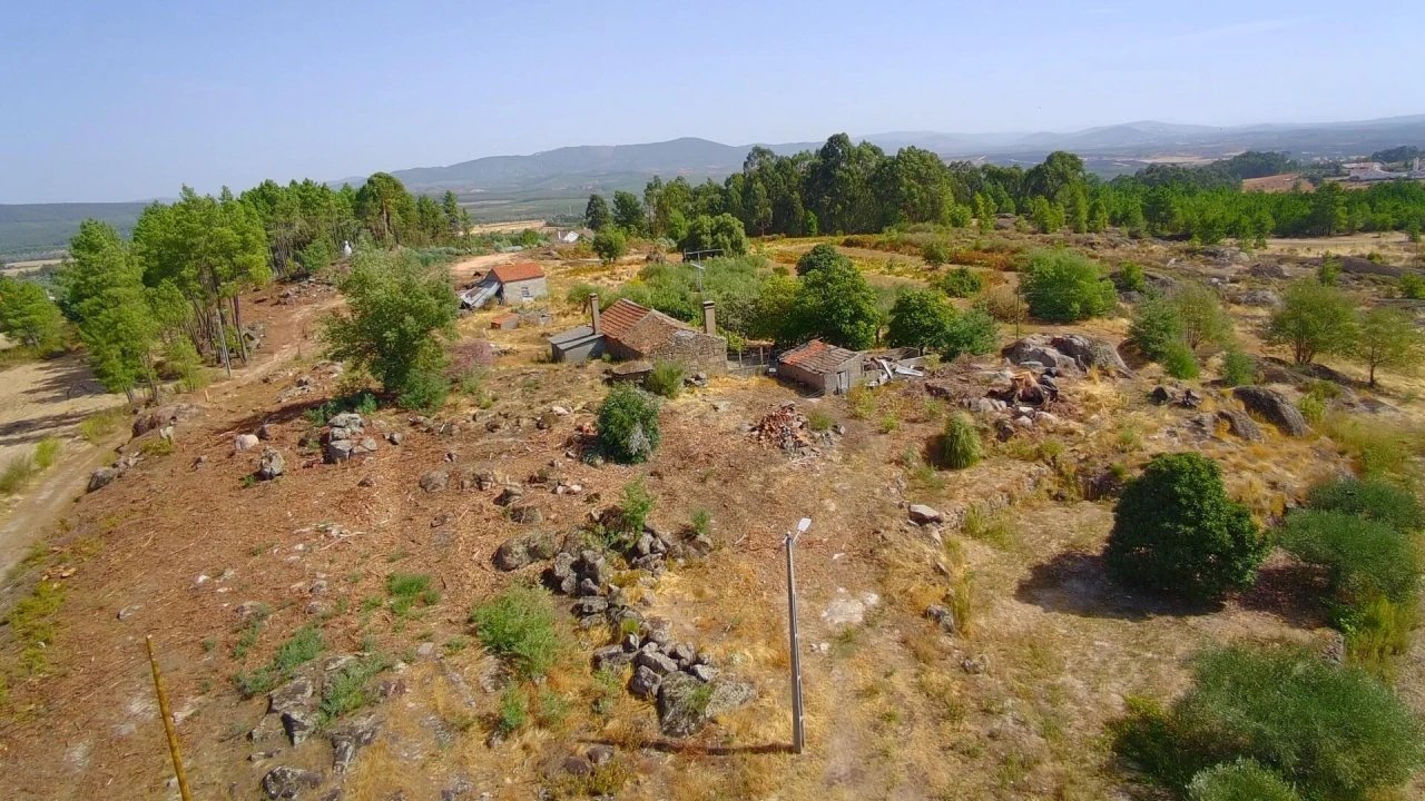 Quinta T3 para Venda em Vale de Prazeres e Mata da Rainha Foto 6