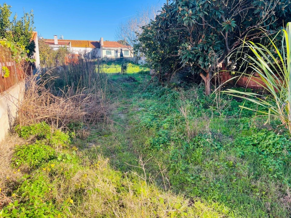 Terreno para Venda em Santo Antonio da Charneca Foto 3