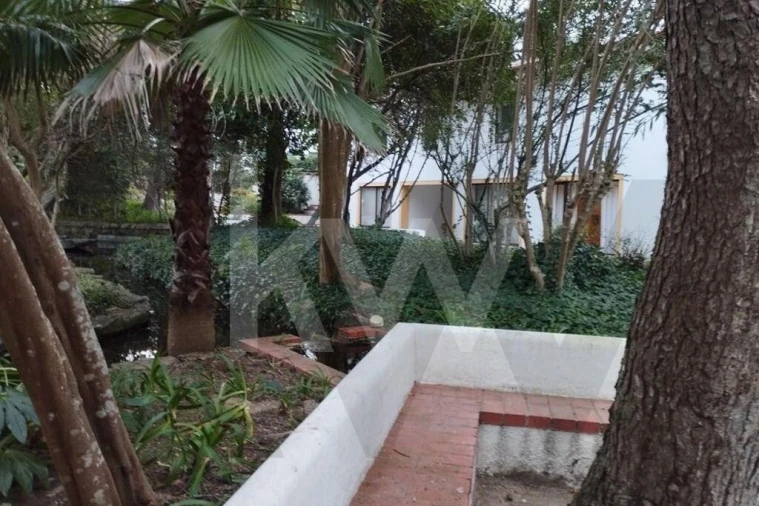 Apartamento T3 para Arrendamento em Cascais e Estoril Foto 59