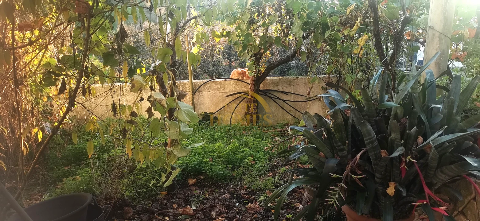 Moradia T5 para Venda em Peral Foto 40