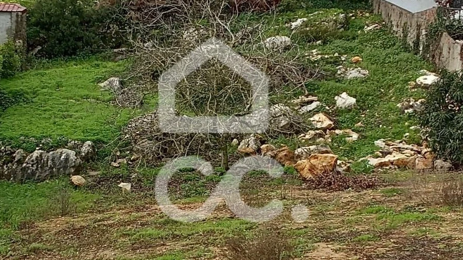 Terreno para Venda em Reguengo Grande