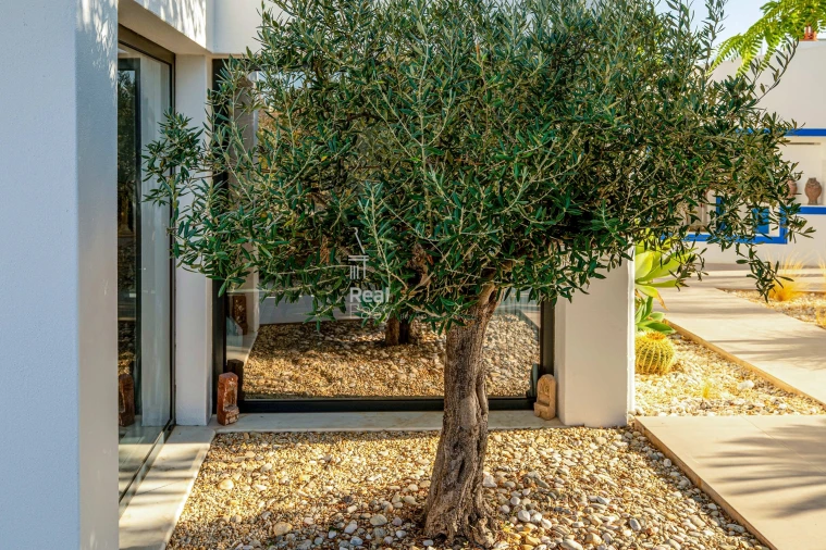 Moradia T3 para Venda em Olhão Foto 24