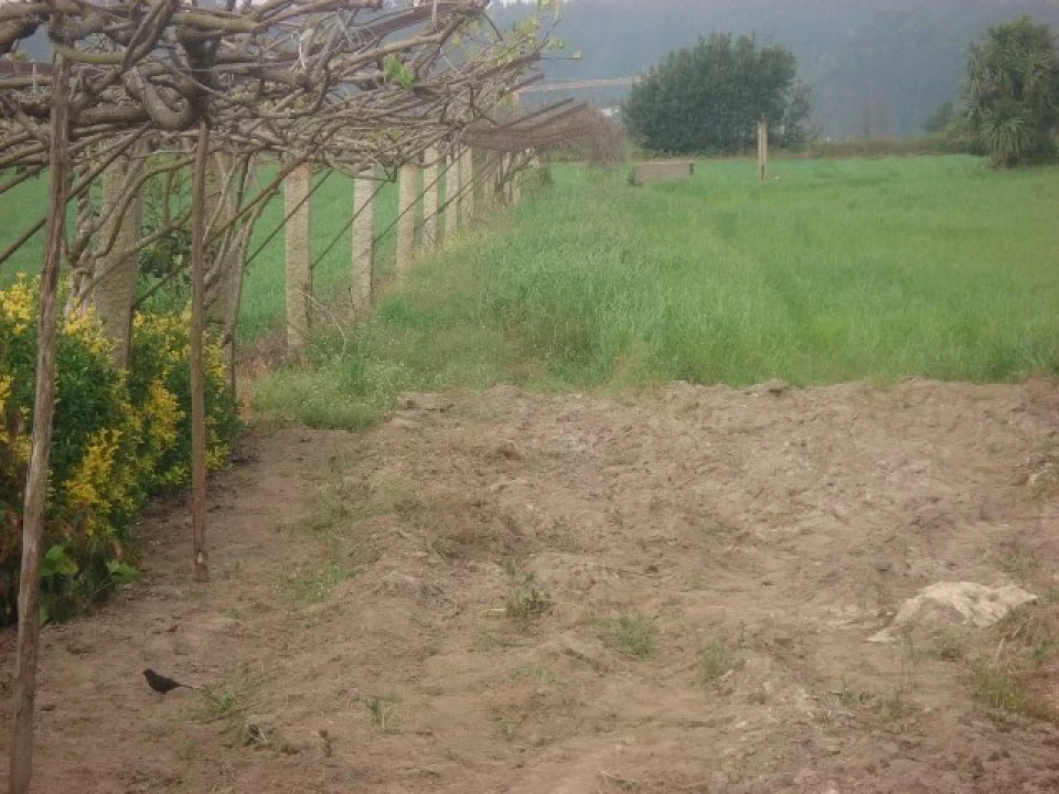 Moradia T5 para Venda em Guilhabreu Foto 16