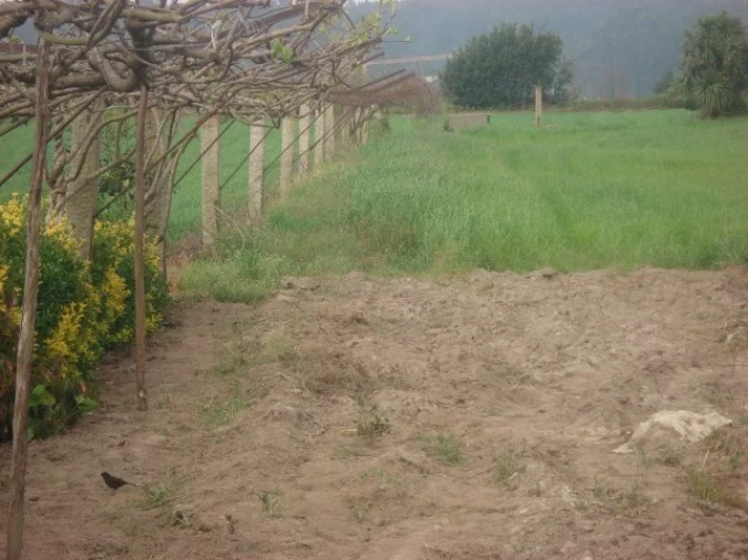 Moradia T5 para Venda em Guilhabreu Foto 16