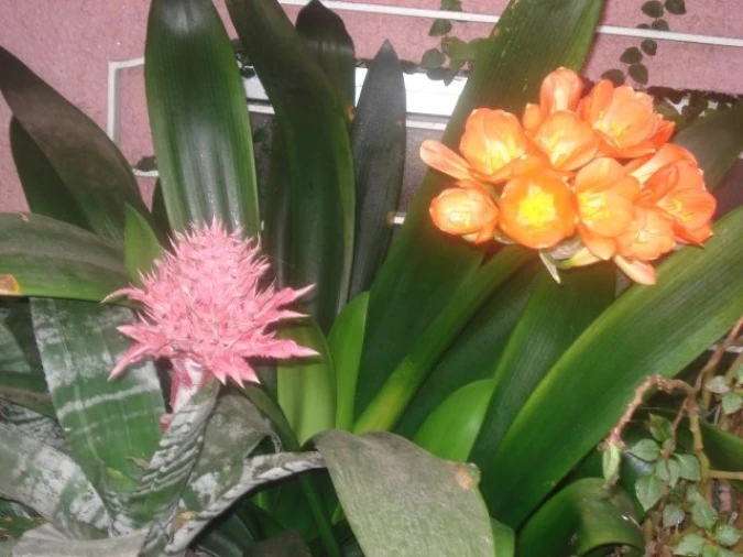 Moradia T5 para Venda em Guilhabreu Foto 18