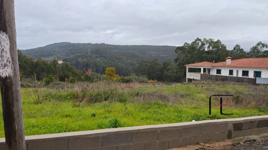 Terreno para Venda em Carregosa Foto 3
