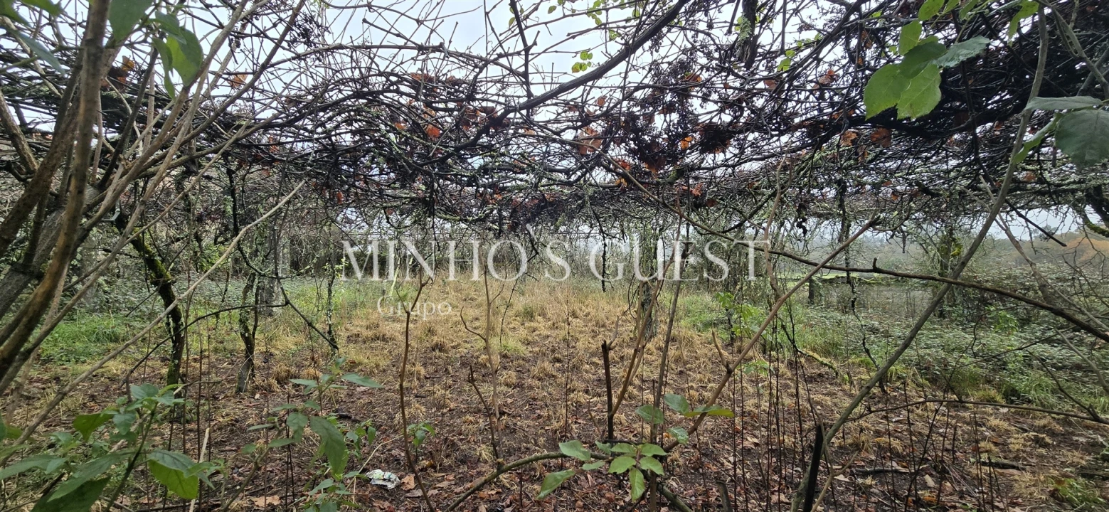 Moradia T2 para Venda em Ribeira do Neiva Foto 13