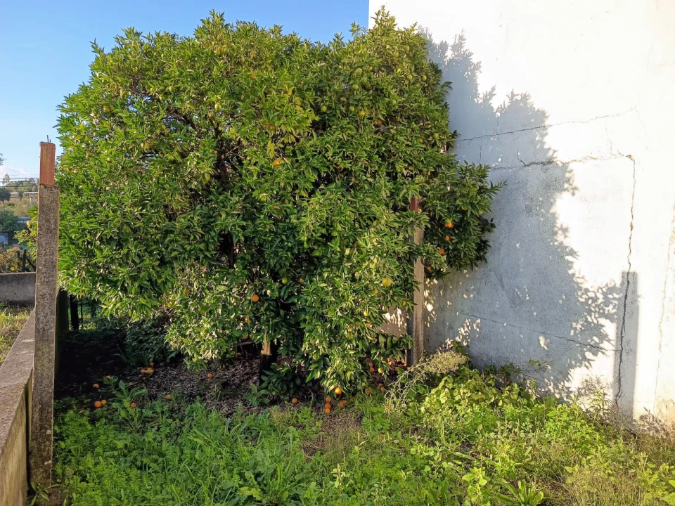 Moradia T3 para Venda em Ovoa e Vimieiro Foto 9