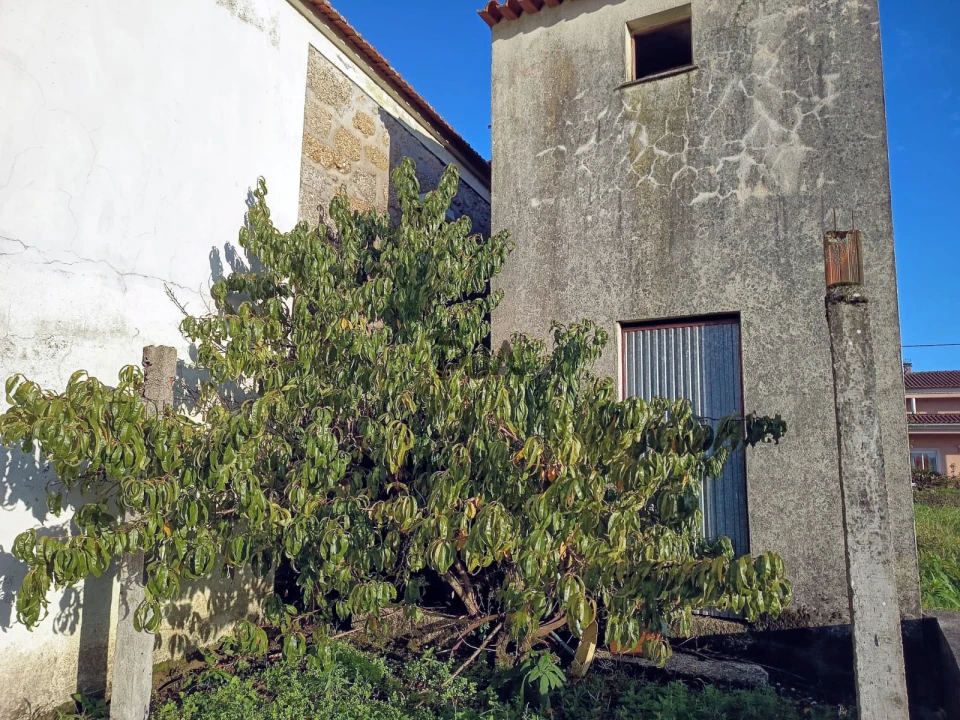 Moradia T3 para Venda em Ovoa e Vimieiro Foto 11