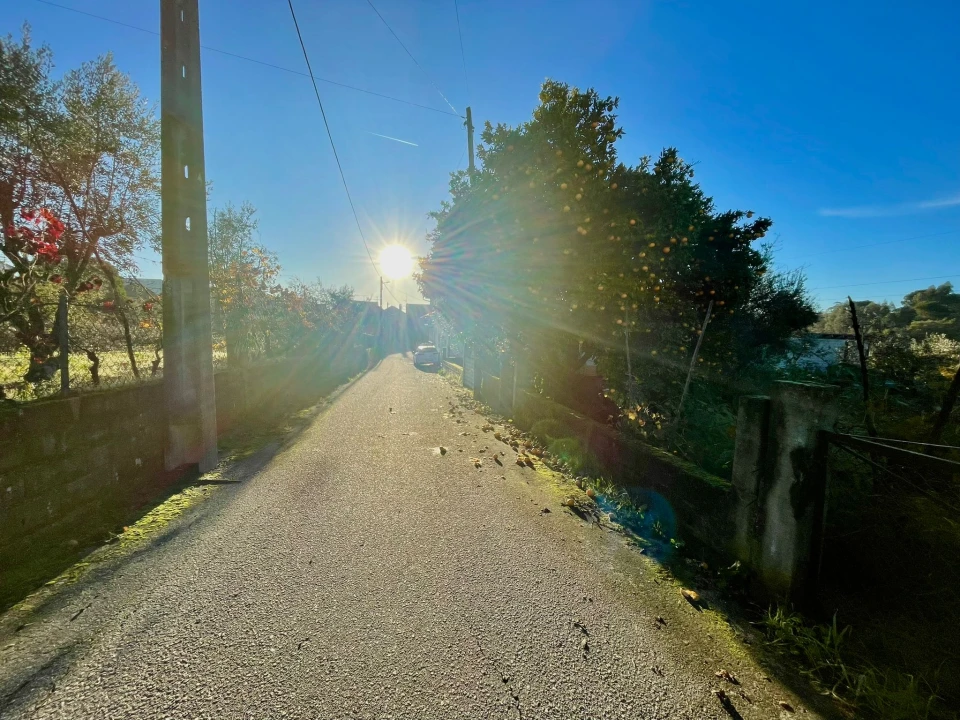 Terreno Agricola ou Rústico para Venda em Lajeosa do Dão Foto 11