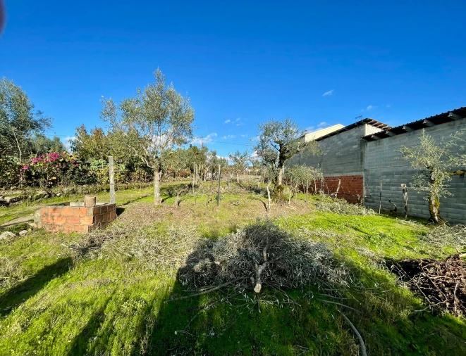 Terreno Agricola ou Rústico para Venda em Lajeosa do Dão Foto 8