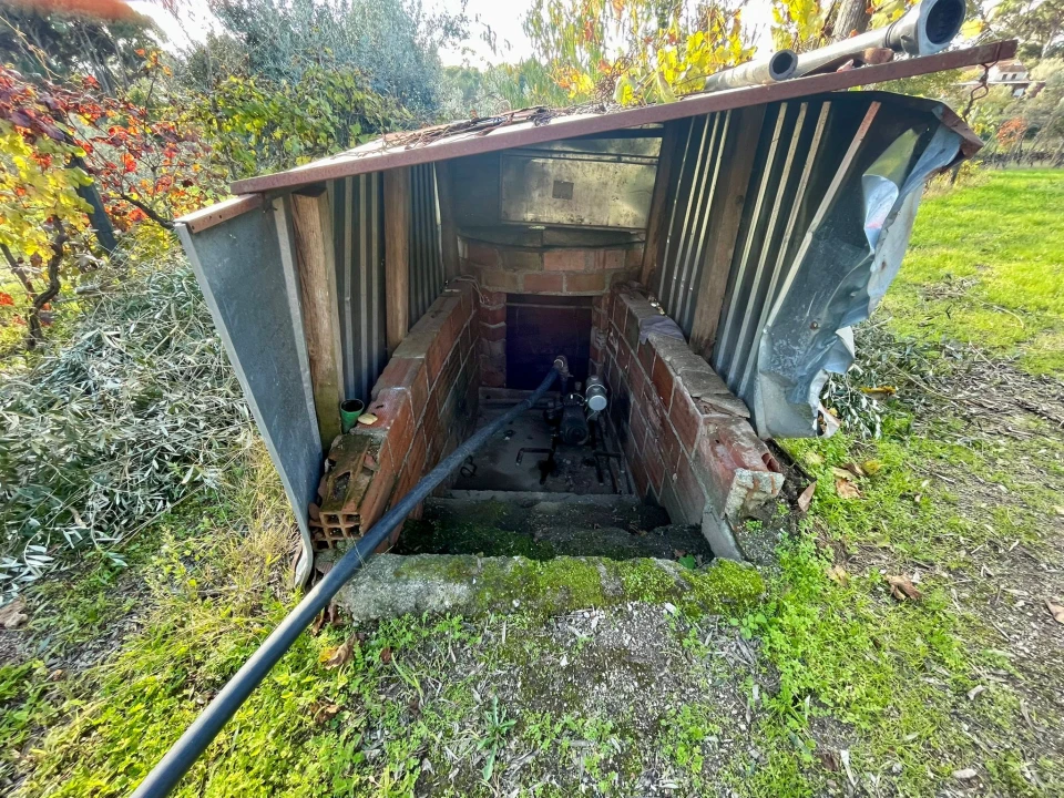 Terreno Agricola ou Rústico para Venda em Lajeosa do Dão Foto 4