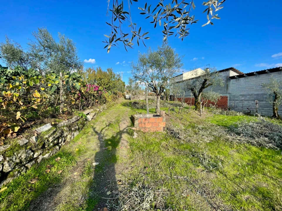 Terreno Agricola ou Rústico para Venda em Lajeosa do Dão Foto 7