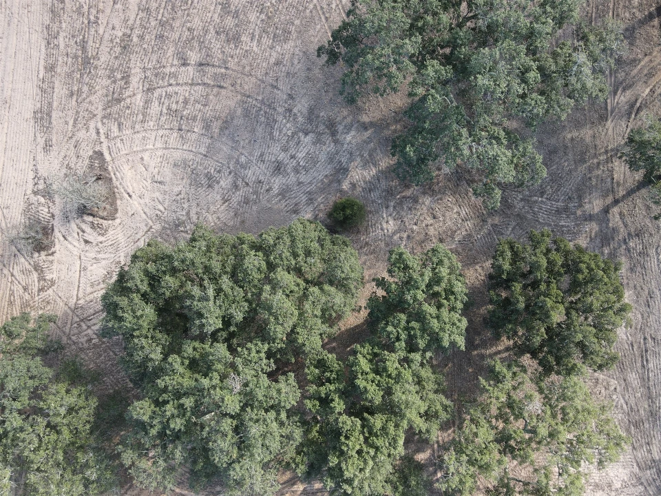 Terreno para Venda em Grândola e Santa Margarida da Serra Foto 12