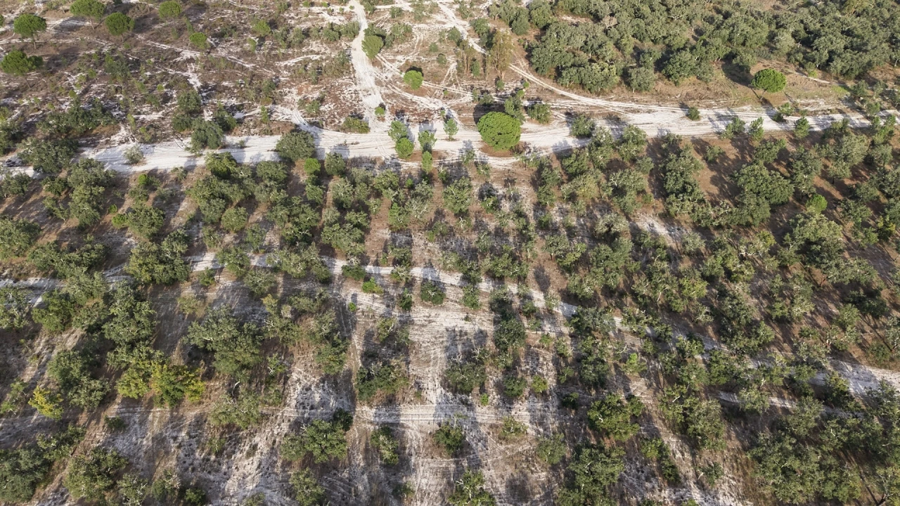 Terreno para Venda em Grândola e Santa Margarida da Serra Foto 20