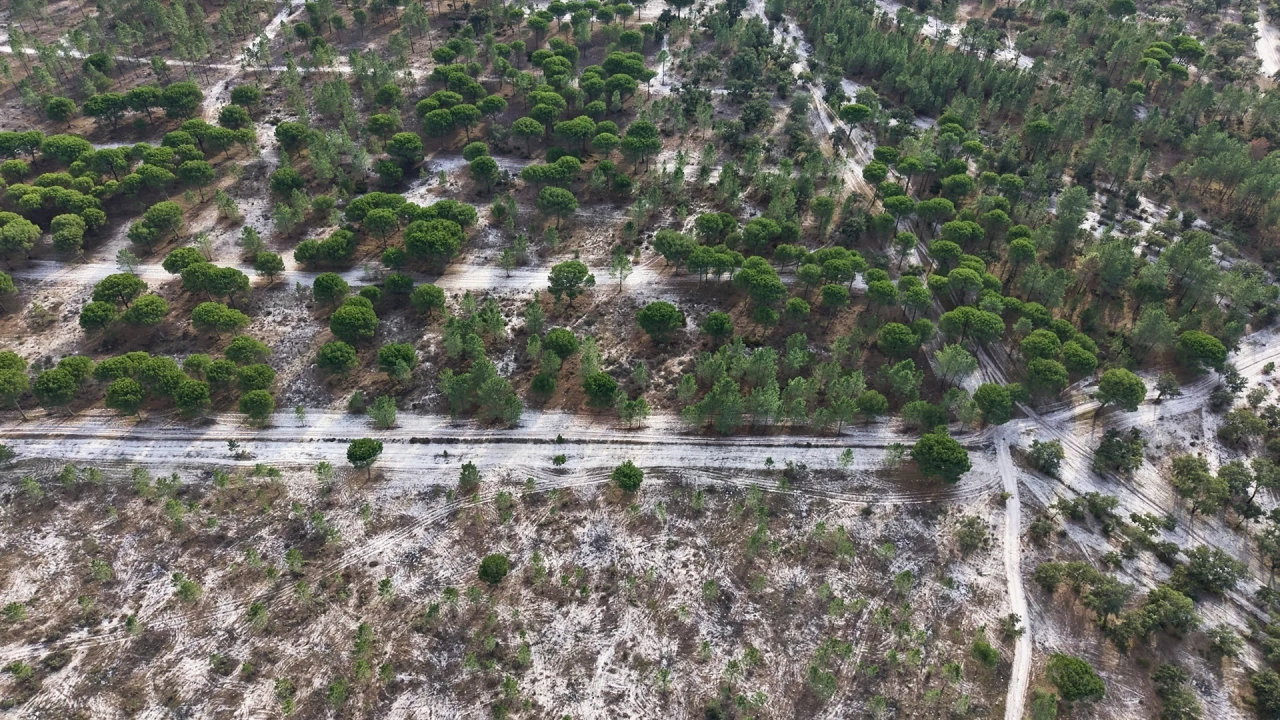Terreno para Venda em Grândola e Santa Margarida da Serra Foto 8
