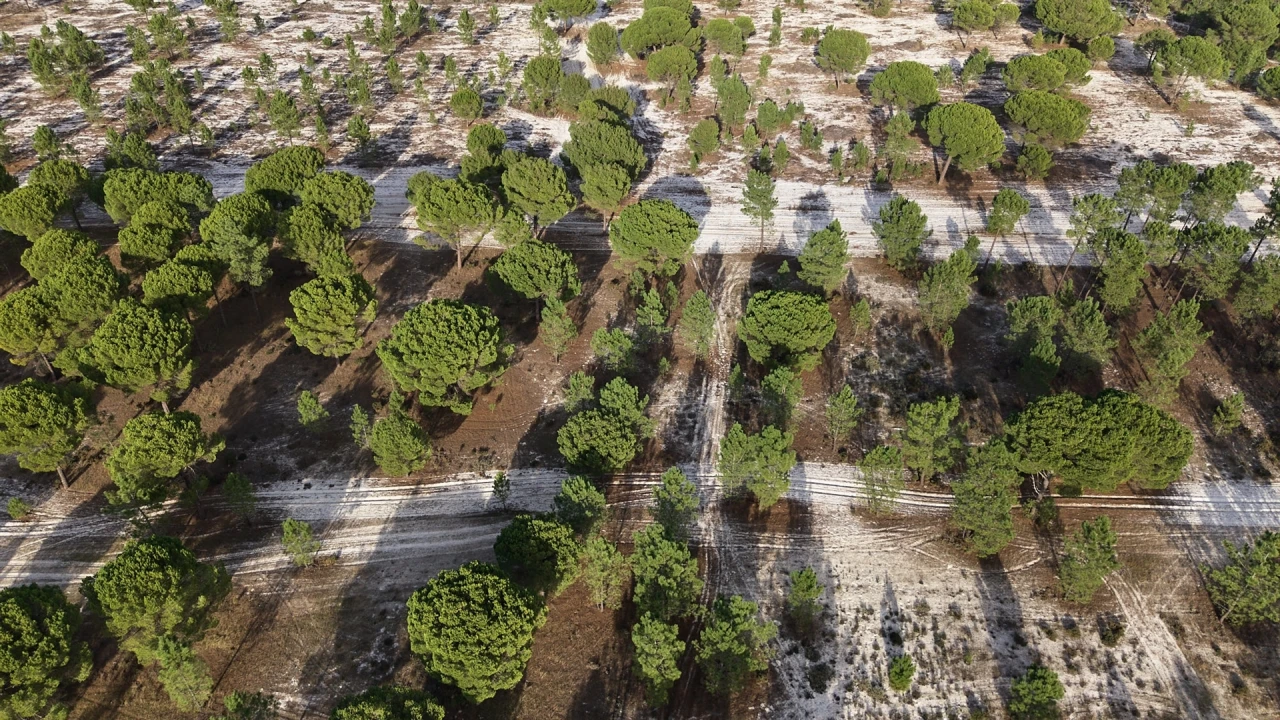 Terreno para Venda em Grândola e Santa Margarida da Serra Foto 15