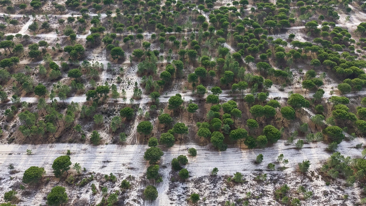 Terreno para Venda em Grândola e Santa Margarida da Serra Foto 11