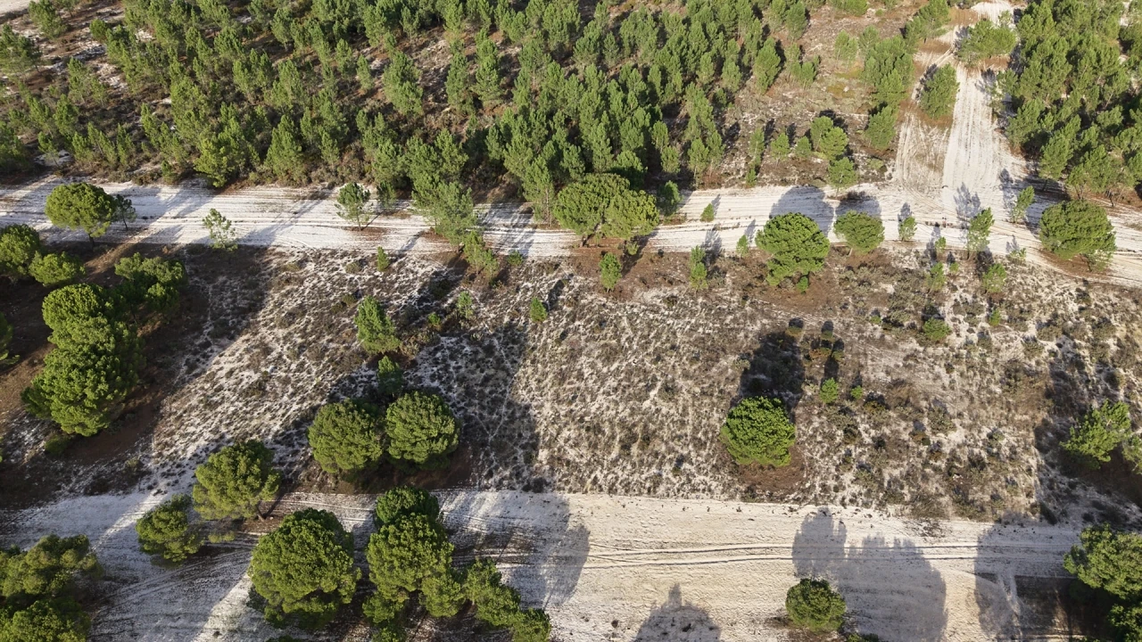 Terreno para Venda em Grândola e Santa Margarida da Serra Foto 5