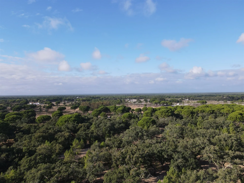 Terreno para Venda em Grândola e Santa Margarida da Serra Foto 14
