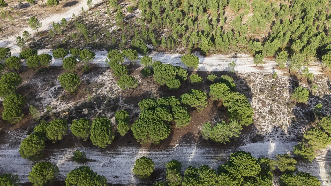 Terreno para Venda em Grândola e Santa Margarida da Serra Foto 6