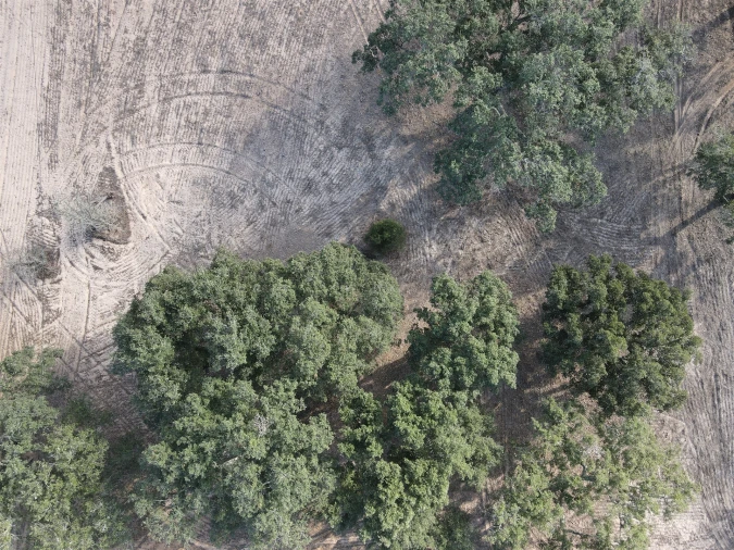 Terreno para Venda em Grândola e Santa Margarida da Serra Foto 12