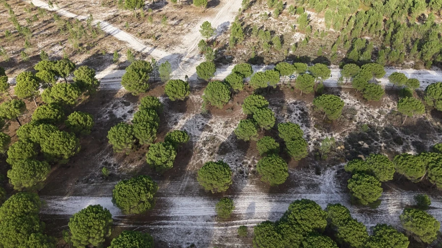 Terreno para Venda em Grândola e Santa Margarida da Serra Foto 7